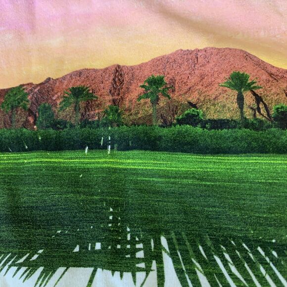 Coachella 2015 Graphic T-Shirt Men's XL Music Festival Lineup Official Merc NWOT - Picture 11 of 12